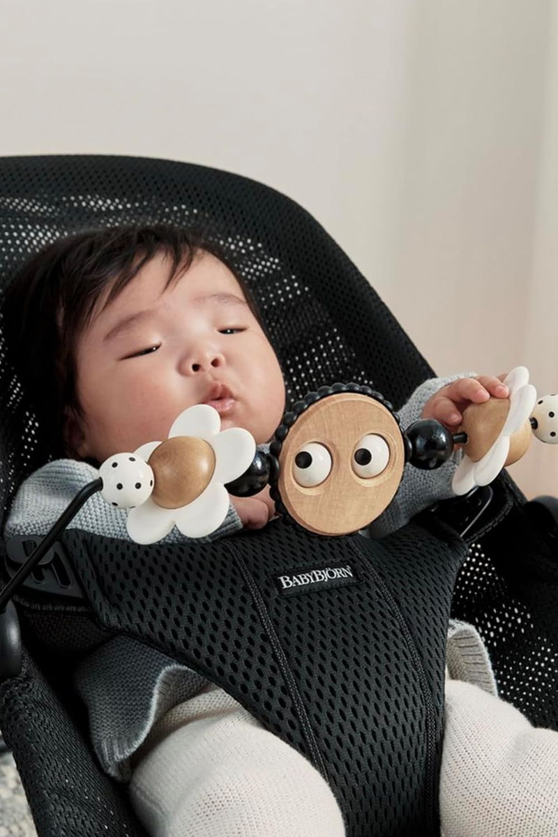 BABYBJORN Spielbogen für Babywippe 31 cm