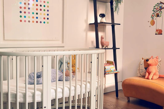 MOTOROLA PIP1500 baby monitor digitale 5" FHSS