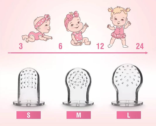LUXIOR fruit speenhouder voor kinderen 3-12m 2 stuks 6 spenen