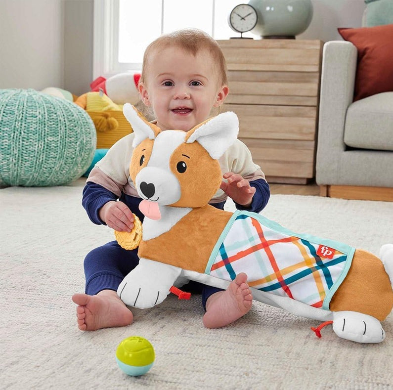 FISHER-PRICE HJW10 speelpuppy voor buikligging 29,2 x 43,2 cm