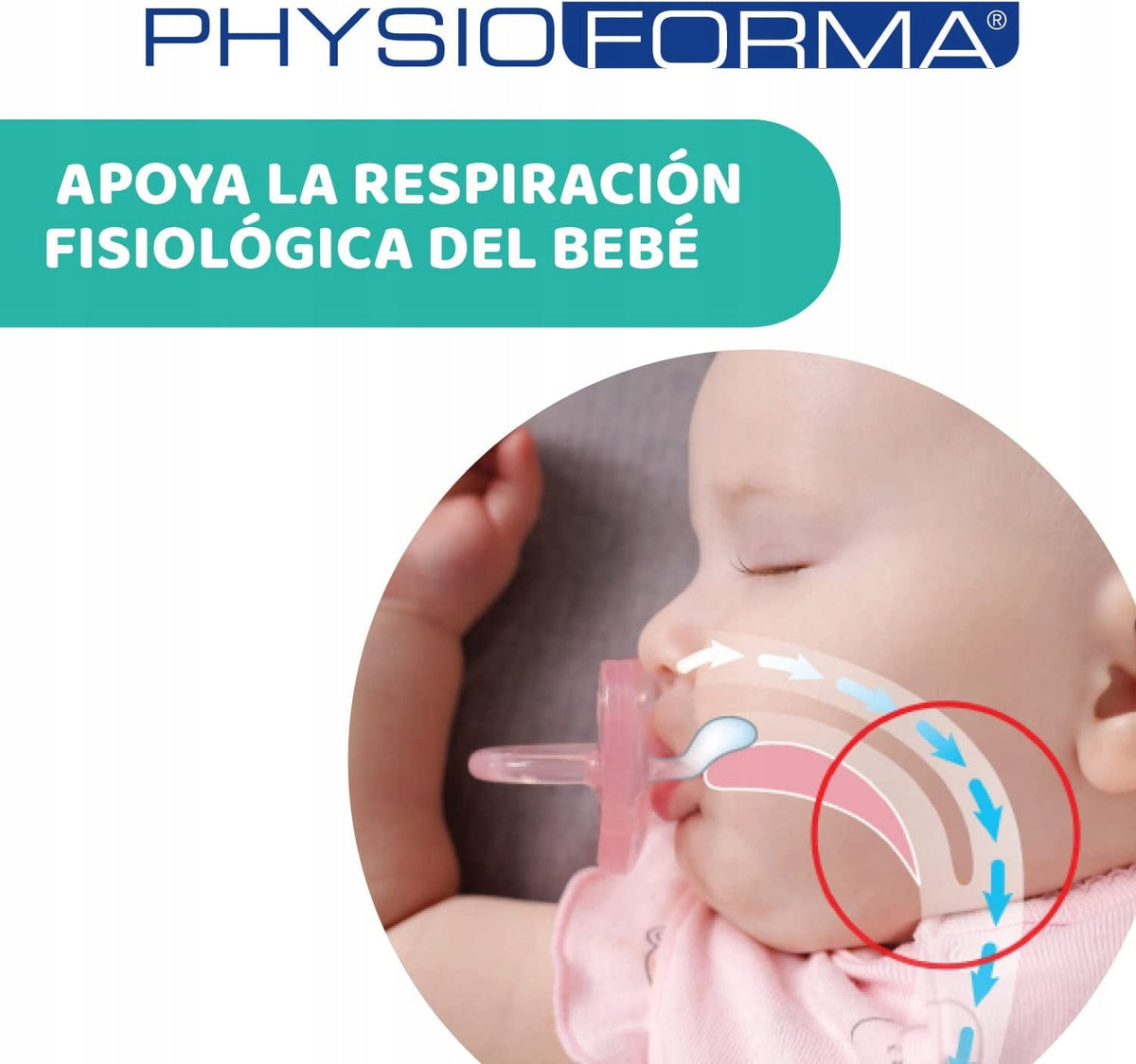 CHICCO PhysioForma succhietto x4 16-36m