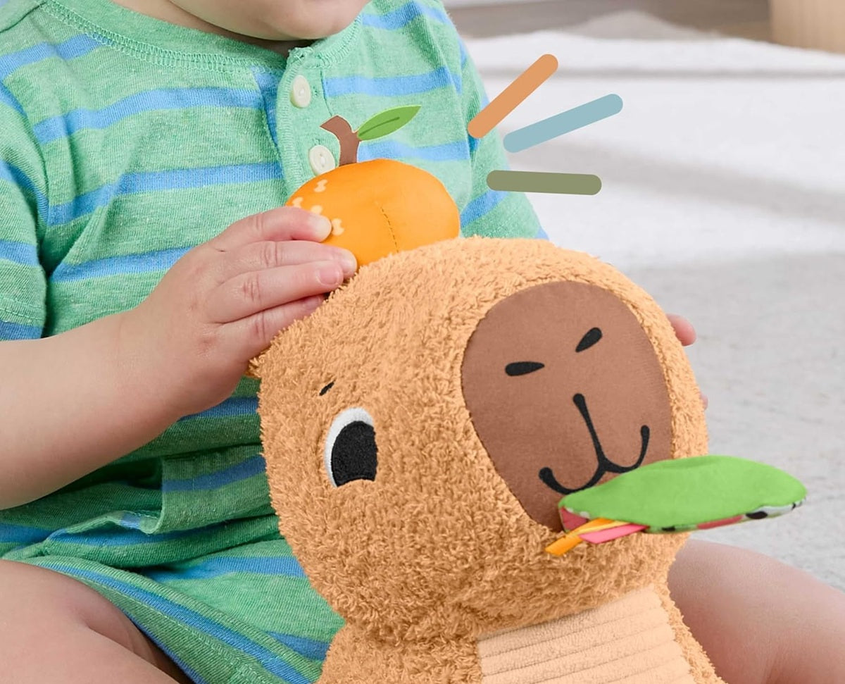 FISHER-PRICE pluchen sensorische capibara met bijtspeeltje en rammelaar 23,5 cm