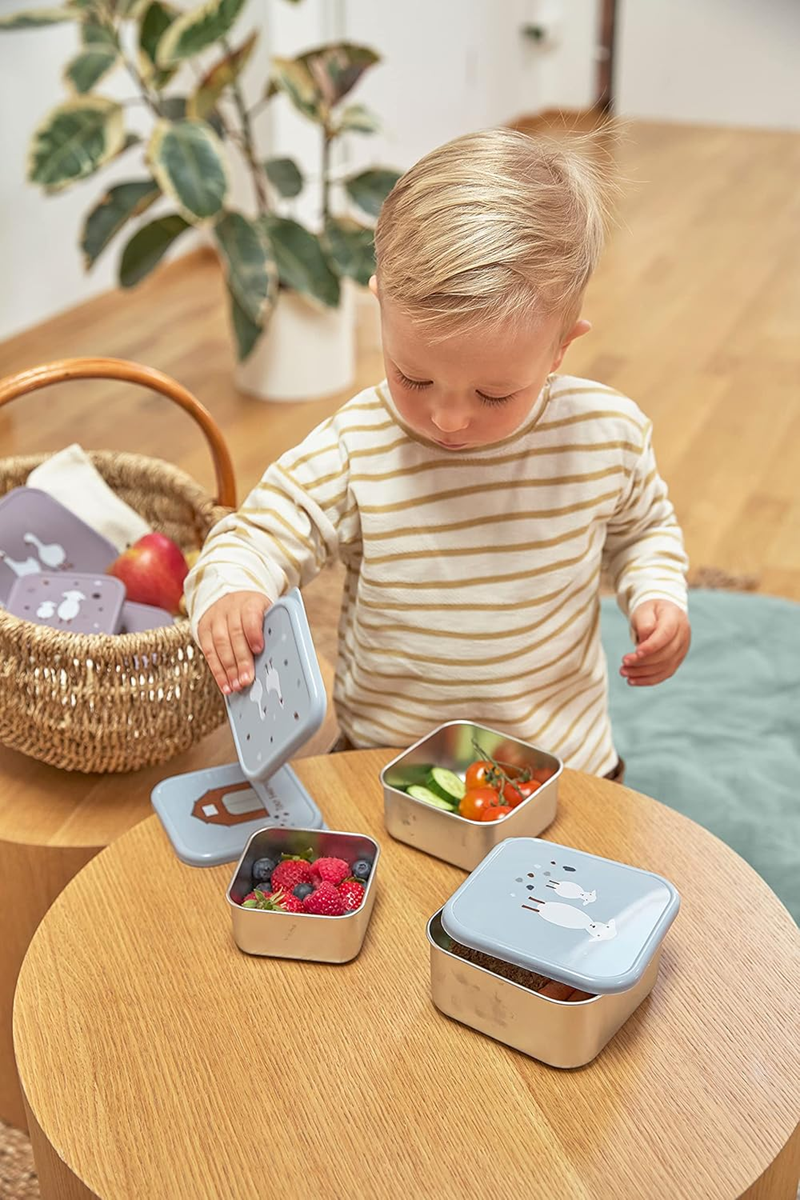 LASSIG Snackbox stalen DOOSJES VOOR SNACKS x3