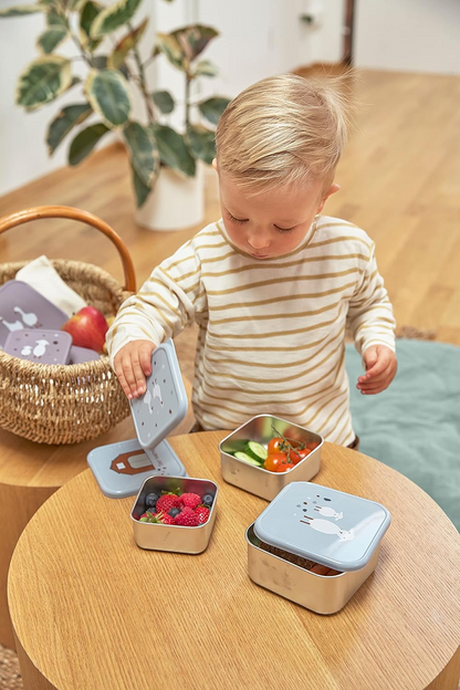 LASSIG Snackbox stalen DOOSJES VOOR SNACKS x3