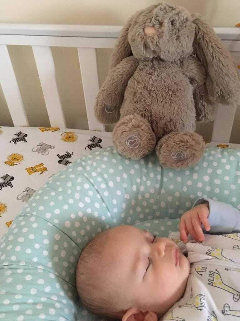 CALLOWESSE iepuraș Dreamy Willow de pluș cu cutie muzicală 6 sunete