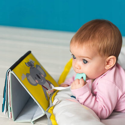 TAF TOYS contrast book with mirror