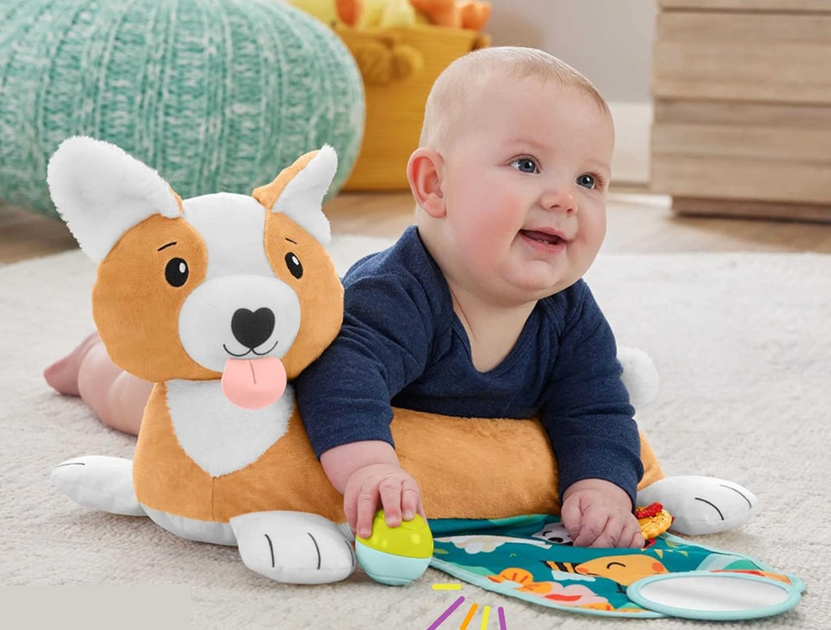 FISHER-PRICE HJW10 speelpuppy voor buikligging 29,2 x 43,2 cm
