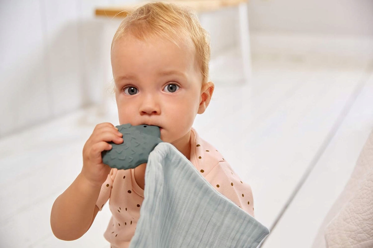 LASSIG komforter z bawełny organicznej i kauczukowy gryzak JEŻ dla niemowląt, zielony, 4 m+