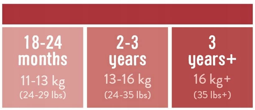 BAMBINO MIO majtki treningowe 2-3 lata, rozmiar 13-16 kg, tabela wieku 2-3 lata na grafice