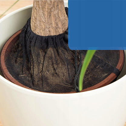 REER protection pare-pot pour pot de fleurs jusqu'à 30 cm de diamètre