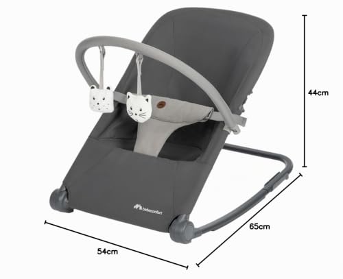 BEBECONFORT Aster wipstoeltje-ligstoeltje 0+ max. 12 kg