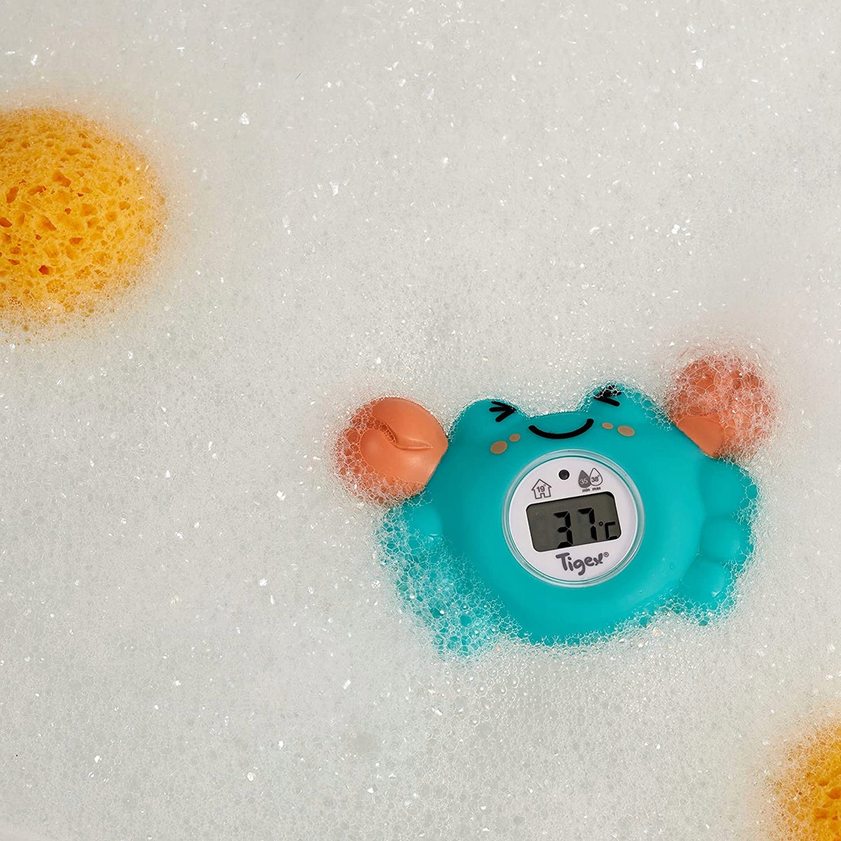 TIGEX Granchio digitale termometro per la stanza e il bagno