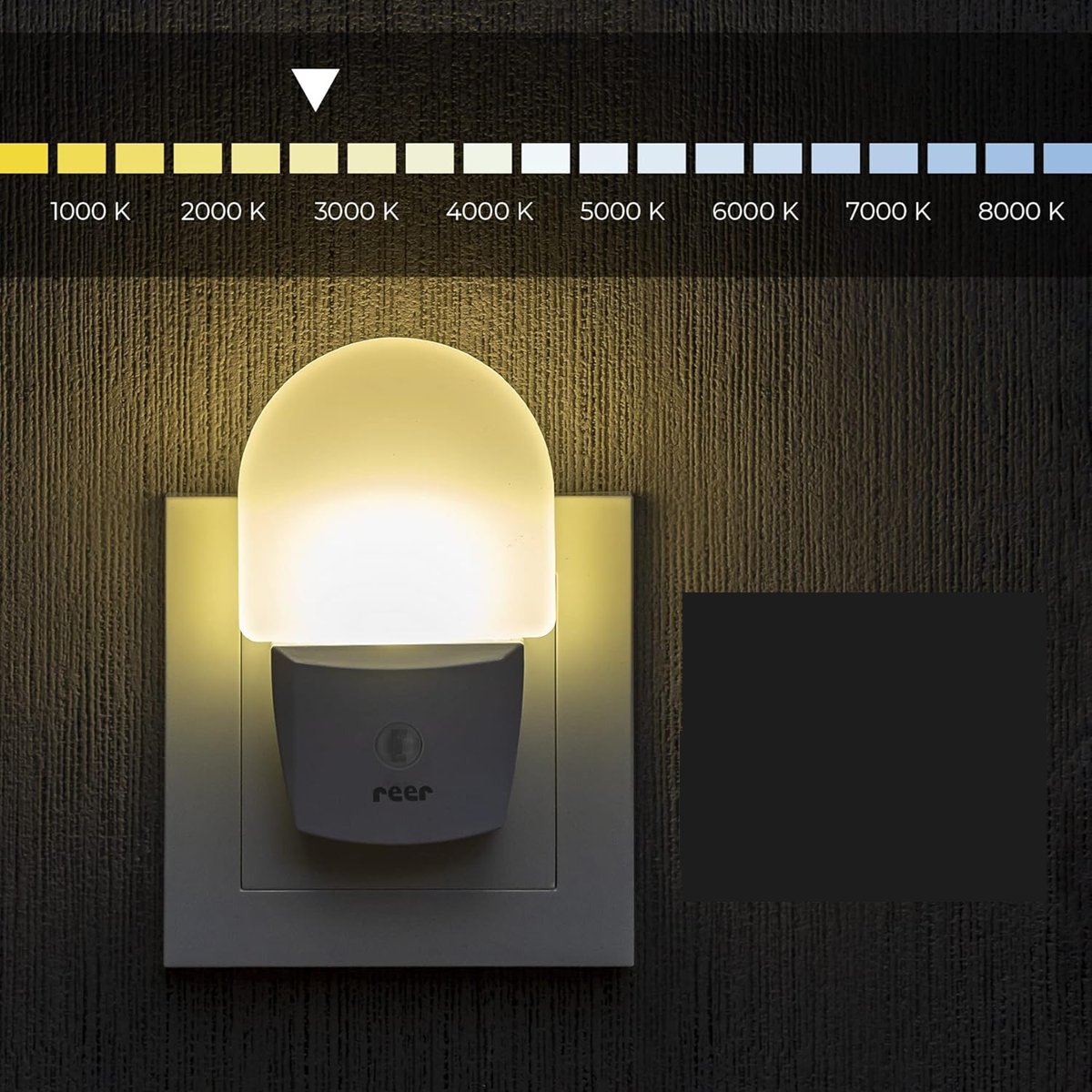 REER NightGuide LED éjjeli lámpa konnektorba, sötétségérzékelővel 6 9 db,5 cm