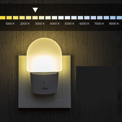 REER NightGuide LED éjjeli lámpa konnektorba, sötétségérzékelővel 6 9 db,5 cm