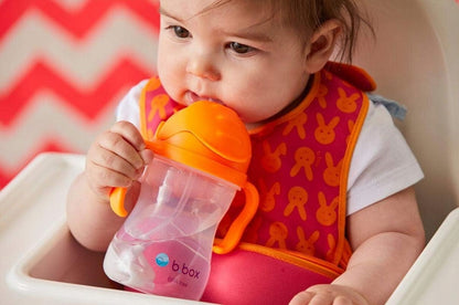 B.BOX Sippy beker 240 ml 6 m+