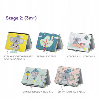 TAF TOYS contrast book with mirror