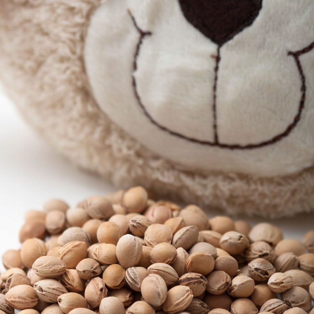 GRUNSPECHT bolsa térmica para niños con huesos de cereza
