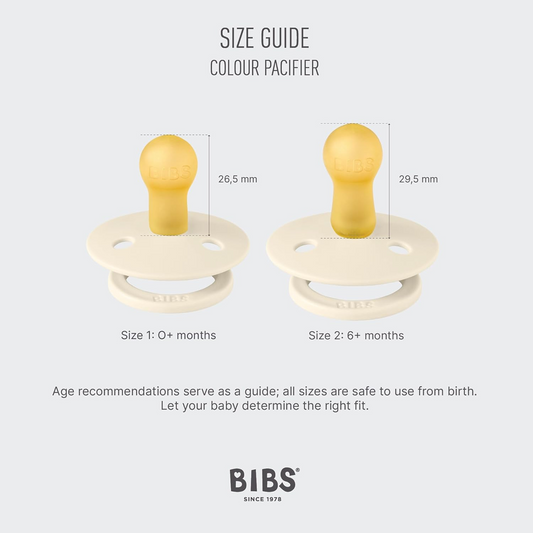BIBS COLOUR STUDIO fopspenen 2-pack natuurrubber 0-6 mnd