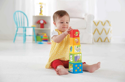 FISHER-PRICE Stapel & Ontdek Blokken blokken in verschillende maten 5 stuks