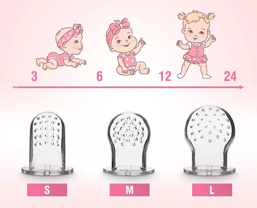 LUXIOR fruit speenhouder voor kinderen 3-12m 2 stuks 6 spenen