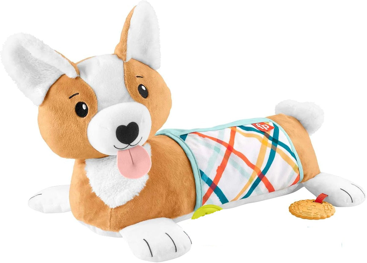 FISHER-PRICE HJW10 speelpuppy voor buikligging 29,2 x 43,2 cm