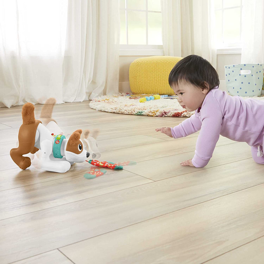 FISHER-PRICE διαδραστικό ΣΚΥΛΑΚΙ γερμ. γλώσσα