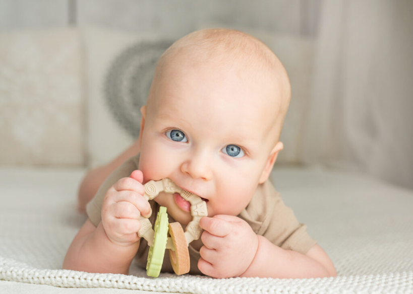 GILIGUMS teether fish