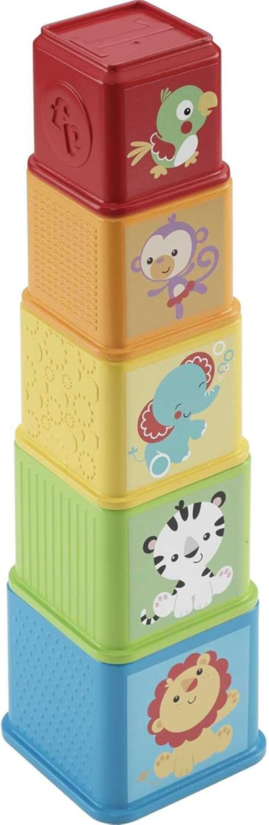 FISHER-PRICE Stapel & Ontdek Blokken blokken in verschillende maten 5 stuks