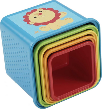FISHER-PRICE Stapel & Ontdek Blokken blokken in verschillende maten 5 stuks
