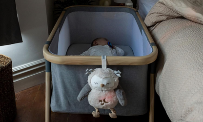 TOMMEE TIPPEE Sova Ollie Deluxe MAZLÍČEK lampička zvuky