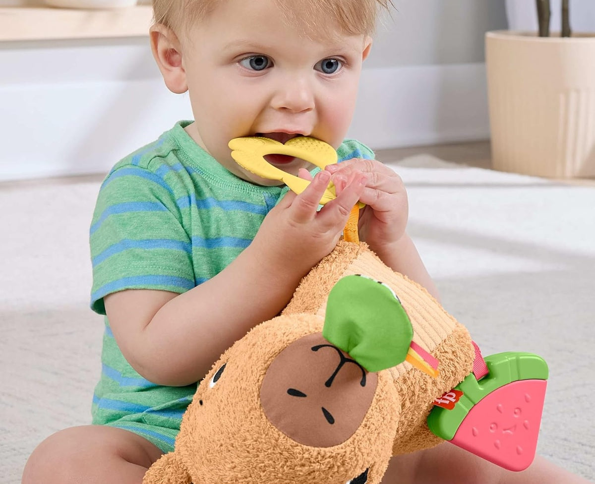 FISHER-PRICE pluchen sensorische capibara met bijtspeeltje en rammelaar 23,5 cm