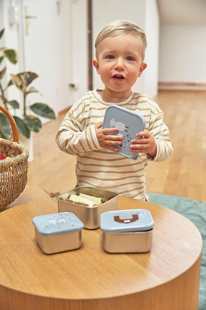 LASSIG Snackbox ocelové KRABIČKY NA SVAČINU x3