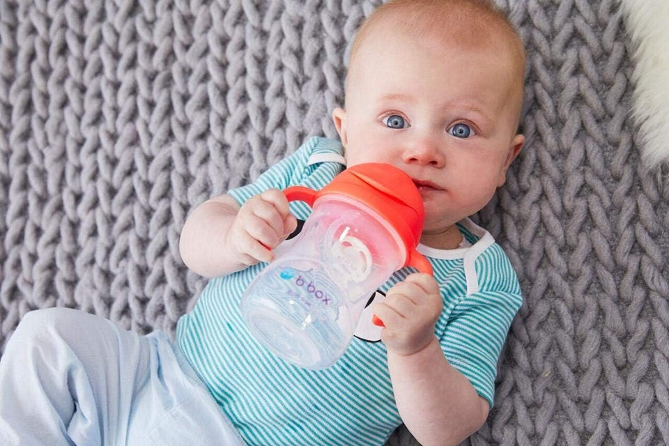B.BOX Sippy Cup netečúci pohár 240 ml 6 m+