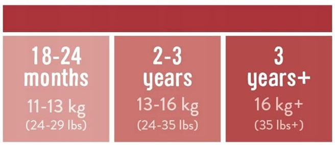 BAMBINO MIO majtki treningowe białe 18-24msc - rozmiar 18-24 miesiące, 11-13 kg