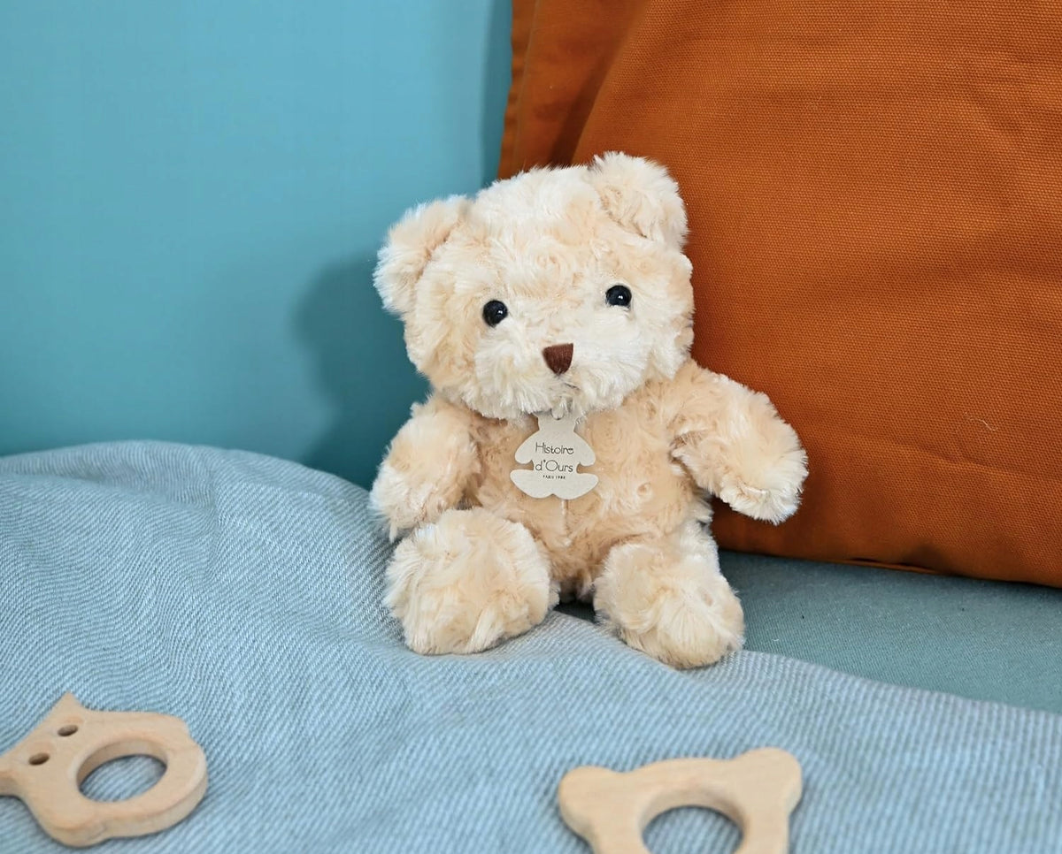 HISTOIRE de'OURS plüss plüss mackó 21 cm