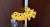 a13e34667981cfdd10f6158c92f64bd0.png