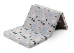 REISMATRAS HERTJES