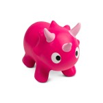 KINDERSPRINGVEER DINU ROZE